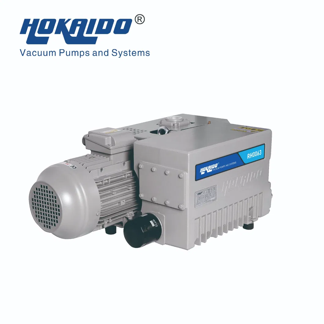 Rh0020/63/100/160/200/250/300 Single Stage Rotary Vane Vacuum Pump for Vacuum Packaging